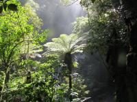 Albums/20060200-New Zealand 2006/20060313-Catlins/43